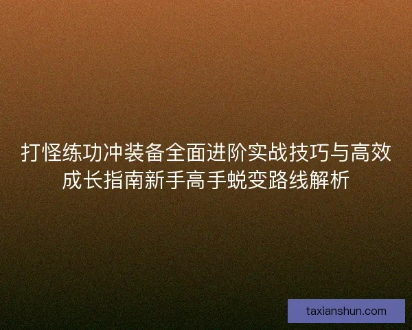 打怪练功冲装备全面进阶实战技巧与高效成长指南新手高手蜕变路线解析